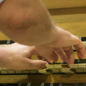 Domorganist Wolfgang Kreuzhuber an der Rudigierorgel