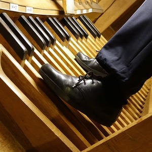 Domorganist Wolfgang Kreuzhuber an der Rudigierorgel