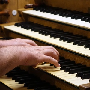 Domorganist Wolfgang Kreuzhuber an der Rudigierorgel