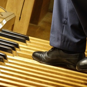 Domorganist Wolfgang Kreuzhuber an der Rudigierorgel