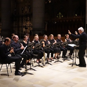 Klarinettenensemble der Anton Bruckner Privatuniversität Linz und Domorganist Wolfgang Kreuzhuber an der Chororgel