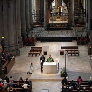 ORGEL.LITURGIE im Mariendom: Dommusikalisch!