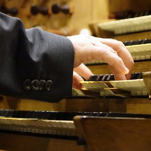 Domorganist Wolfgang Kreuzhuber an der Rudigierorgel