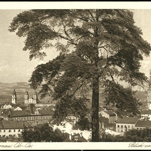 Linz: Blick vom Bauernberg um 1925