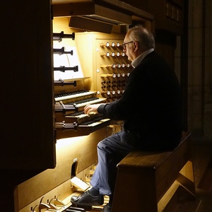 Domorganist Wolfgang Kreuzhuber an der Rudigierorgel