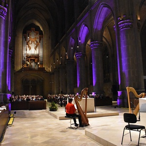 Blick in den Mariendom beim RAUMKLANG#25 mit Virtuosen Harfenisten