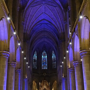 Blick in den Mariendom Linz