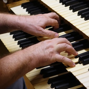 Domorganist Wolfgang Kreuzhuber an der Rudigierorgel