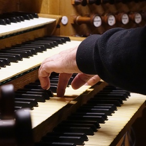 Domorganist Wolfgang Kreuzhuber an der Rudigierorgel